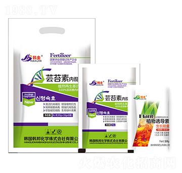 �|̦�؃�֬-�n��-�n��