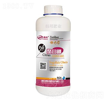 ƿ�b��(y��u)�|�ЙC���-����