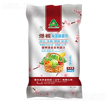 �������������-��(��i)����