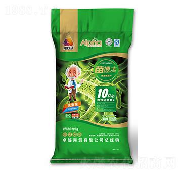 10�|����粩ʿ����-����ɯ-��(��i)����