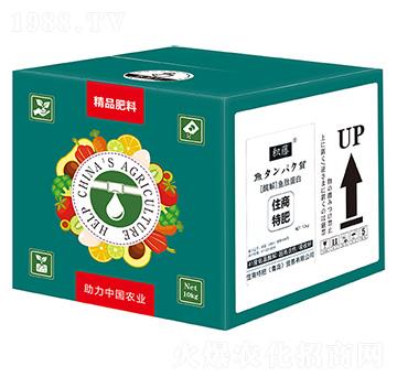 ø���~�ĵ���-�e��-ס���ط�