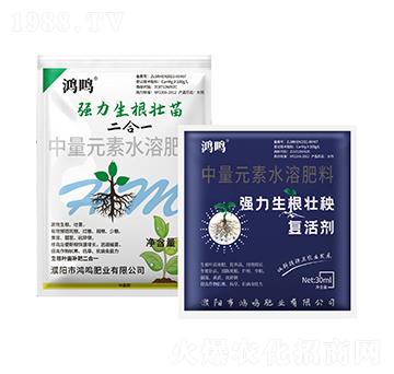 ������������-���Q