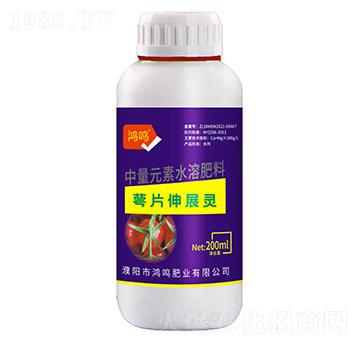 ��Ƭ��չ�`-���Q