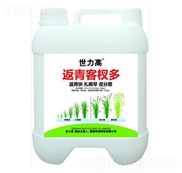 ������Y��-����������