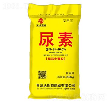 ����-���-��˹��