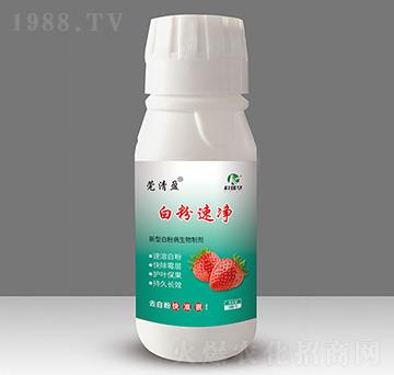 �׷��ك�-�����A