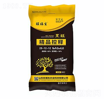 ��Ʒ���28-12-12-������