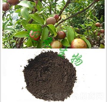 �Ͳ茣�÷�-ӭ������