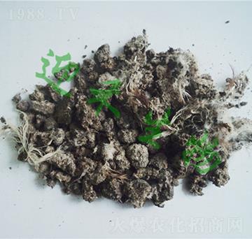 ����u�S�K-ӭ������