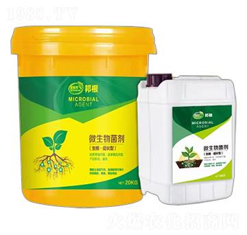 ���������L(zh��ng)��΢�������-���-�ݶ��