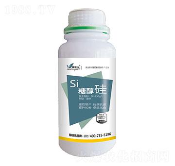 �Ǵ���-�ڼژ�