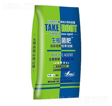 ��������-ֱ���L-�ڼژ�