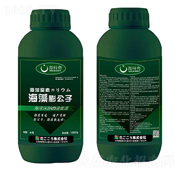 ��������-������