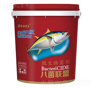 15kg΢�������-�˾�(li��n)��-���r(n��ng)���