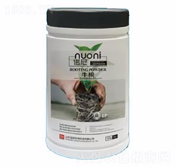 ţ��-�Z��-�~�蝙(r��n)