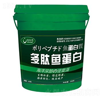 �����~����-������