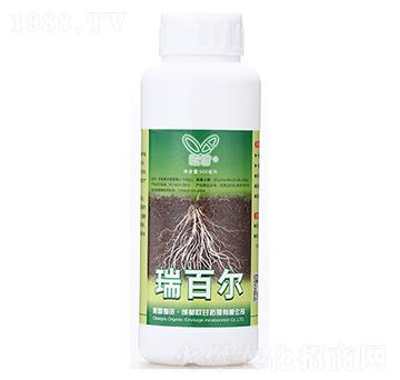 ��٠�-�W��