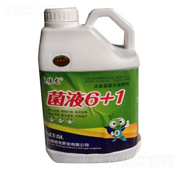 ��Һ6+1-������-�����ʘI(y��)