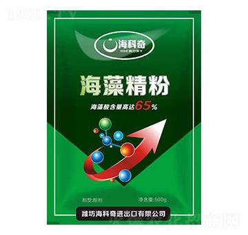 ���徫��-������