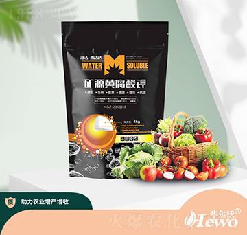 �VԴ�S�����-����-�A����