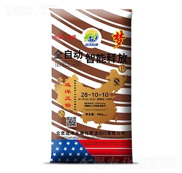 ����ጷœ������28-10-10-�h�󱊵�