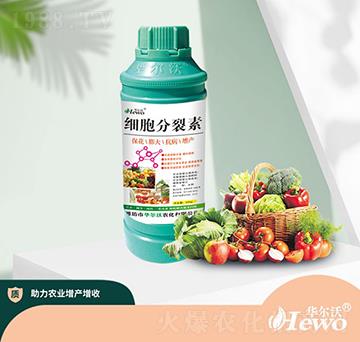 ����������-�A����