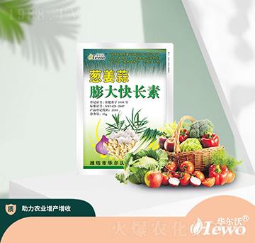 �[���������L��-�A����