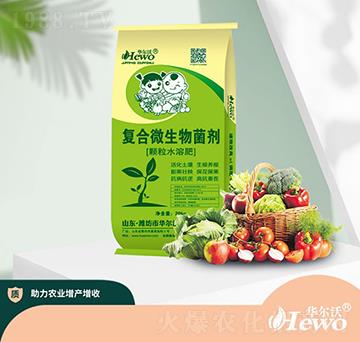 �ͺ�΢�������-�A����