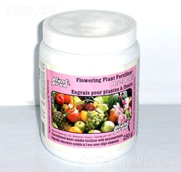 ���׷�15-30-15-���_��-�������r(n��ng)�Q(m��o)