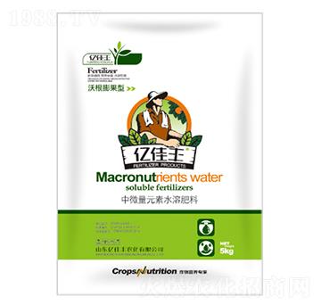 �ָ��������΢��Ԫ��ˮ�ܷ���-�|���S