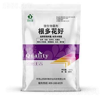 ΢�������-���໨��-�K��ӡ��