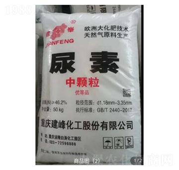 ��������-�ѷ�Ԫ