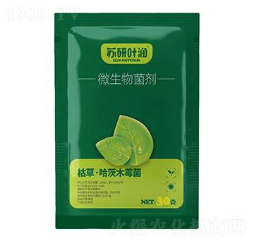 ΢�������-�K���~��-�K��ӡ��