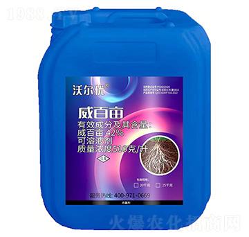 ���ٮ�-�֠���(y��u)