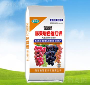 ���������ɫ�߼t�-��