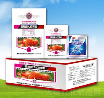 �������t����-���ؠ�