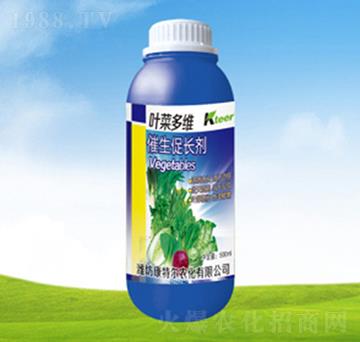 �~�˶�S�������L��-��