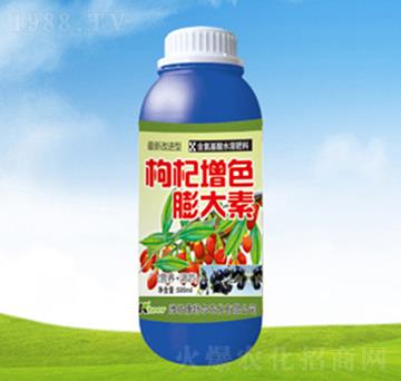 �����ɫ�����-���ؠ�