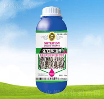 ƿ�b�����������焩-��