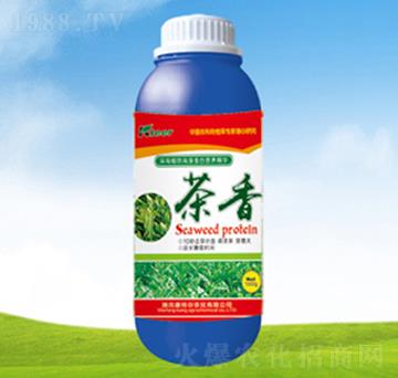 ��Ʒ�~���-����-����