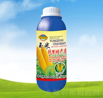 ���׿������a(ch��n)�`-���ؠ�