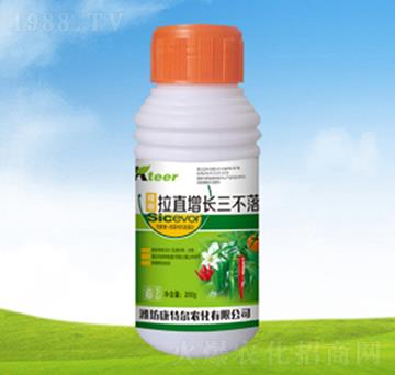 ��ֱ���L������-���ؠ�