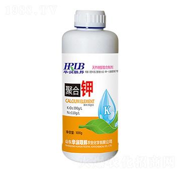 �ۺ��-�A���s��