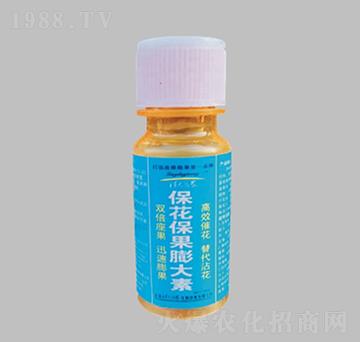 �������������-�����