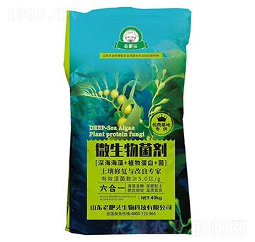 ΢�������[�����+ֲ�ﵰ��+��]-�Ϸ��^