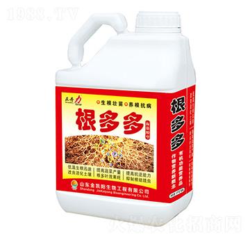 �����-������-���P�