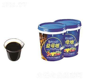 �����~����-��ĸ��-׿������