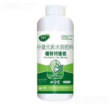 1300g���\�}�V�F-ِʩ��-�sҫ�r(n��ng)�I(y��)