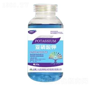 300g�������0-520-340+TE-�sҫ�r(n��ng)�I(y��)