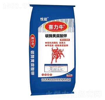 ̼ø�S�����-ϲ��ţ-�sҫ�r(n��ng)�I(y��)